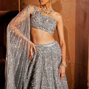 Silver Lehenga