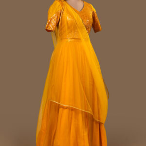 Traditional Indian Net Skirt and Sequined Blouse Ensemble